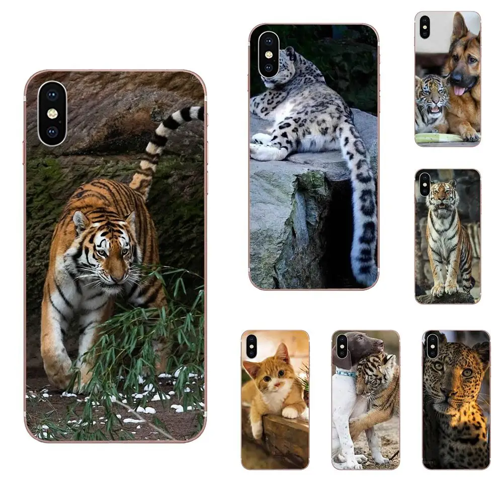 Для Apple iPhone 4 4S 5 5C 5S SE 6 6S 7 8 Plus X XS Max XR жесткий чехол с рисунком для телефона животное
