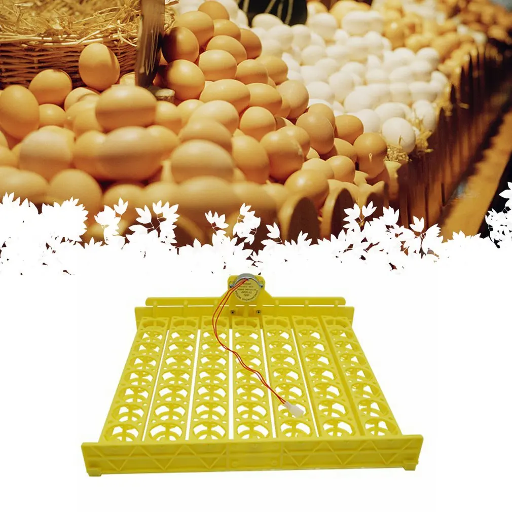 

High Incubation Rate Uniform Heating Bird Egg Incubator Automatic Egg Turning Hollow And Breathable Egg Tray