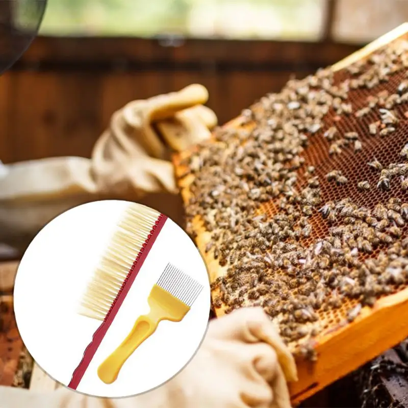 

7 Pcs Beekeeping Supplies For Beekeeper Necessary Bee Supplies Kit Beekeeping Accessory For Beekeeping Starter Tools