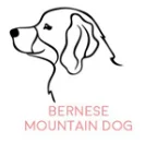 BERNESE-MOUNTAIN Собака портрет Персонализированные Имя ожерелье Собака ювелирные изделия любимое животное подарок для мамы собаки породы ожерелье PN305 - Окраска металла: BERNESE-MOUNTAIN