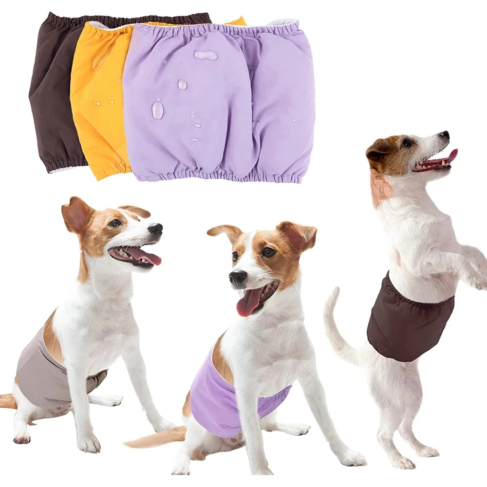 Подгузники для домашних животных, трусики для собак, водонепроницаемые  дышащие мужские одноразовые подгузники для собак, подгузники для собак,  физиологические штаны, товары для домашних животных | AliExpress
