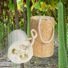 Губка из люфы, 6 шт. в упаковке, для мытья тела