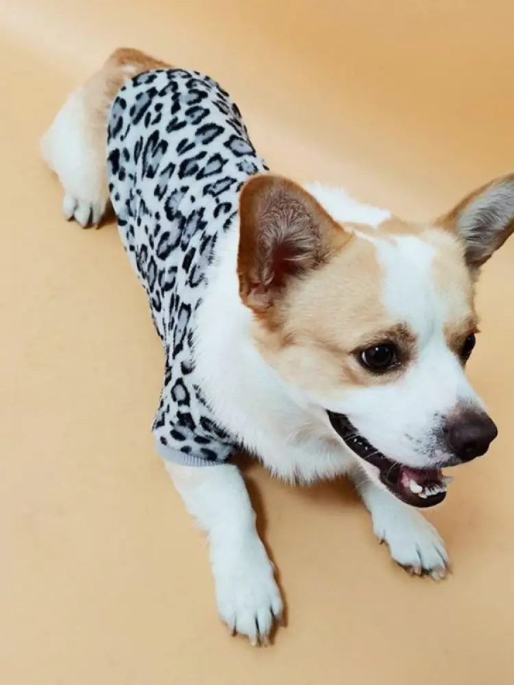 Новые товары для осени и зимы онлайн толстый свитер с леопардовым принтом