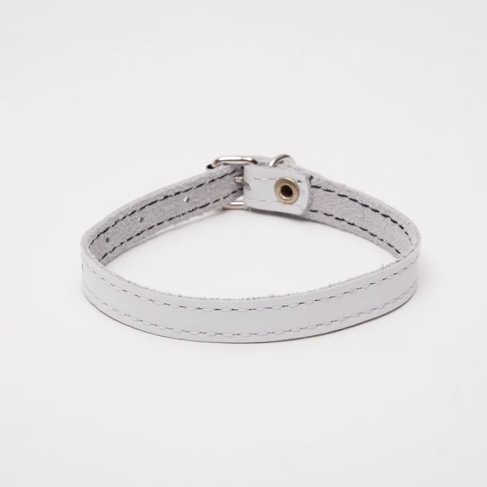 Single-layer leather collar 25 x 1.2 cm white 1173190 goods for animals Collars Harnesses Leads Dog Supplies Pet Products Home Garden | Дом и