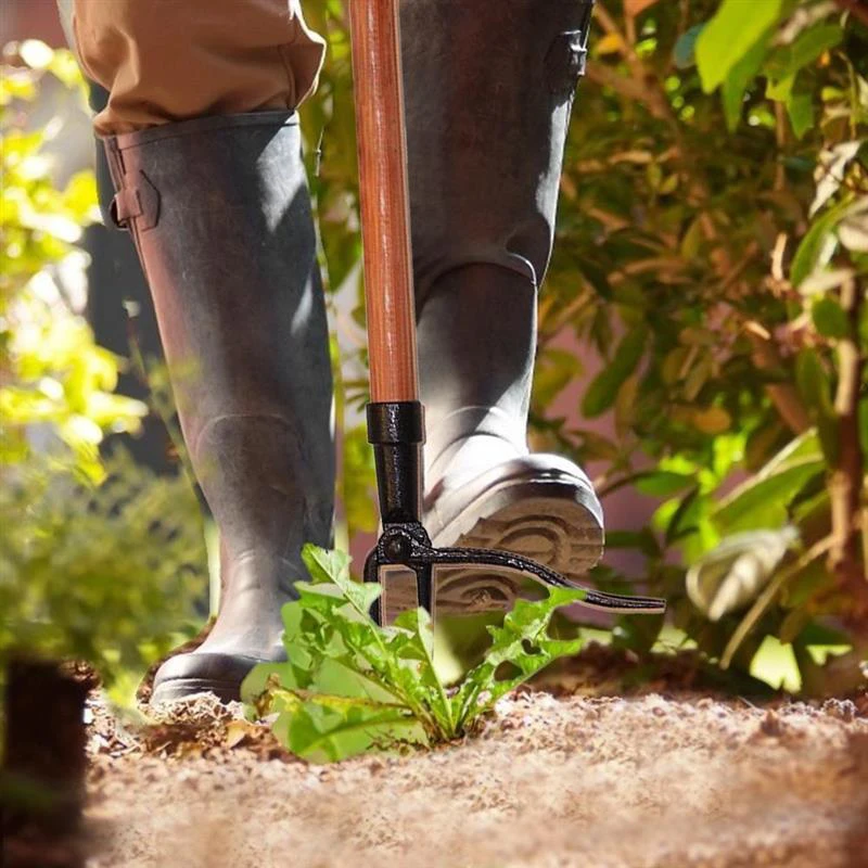 

Newly Weeding Hook Long Vertical Weeding Shovel Clamp Tool Standing Metal Only Weeder Without Wooden Stick