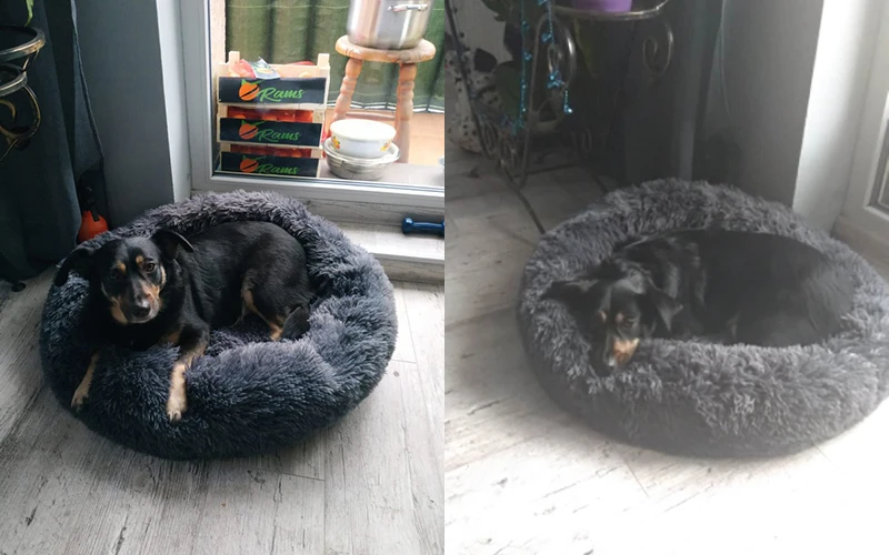 

Calming Fluffy Dog Bed Round Pet Lounger Cushion For Small Medium Large Dogs & Cat Winter Dog Kennel Puppy Mat Pet Bed