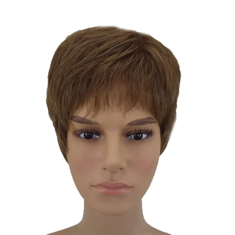 HAIRJOY синтетические волосы парики для мужчин короткие прямые парик термостойкие 2 цвета доступны