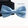 Light Blue 14 цветов, Классическая мода, новинка, мужской регулируемый смокинг, Свадебный галстук-бабочка, галстук-бабочка, однотонный цвет, розовый, синий, красный, цвета шампанского - Цвет: Light Blue