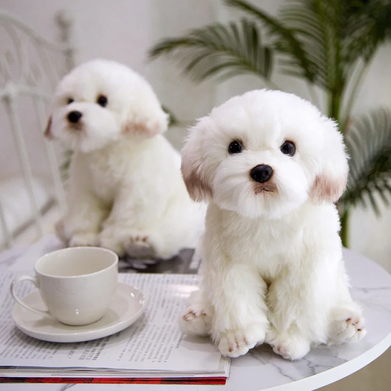 

High Quality Simulation Maltese Dog Plush Toy Stuffed Animal Realistic Schnauzer Bichon Frise Toy for Luxury Home Decor Pet Gift