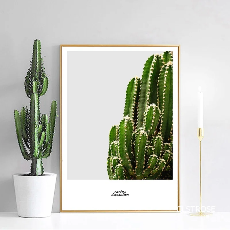 

Nordic Modern Pure And Fresh Red Blue Cactus Plant Posters Art Canvas Pictures For Living Room Bedroom Decor Painting Unframed