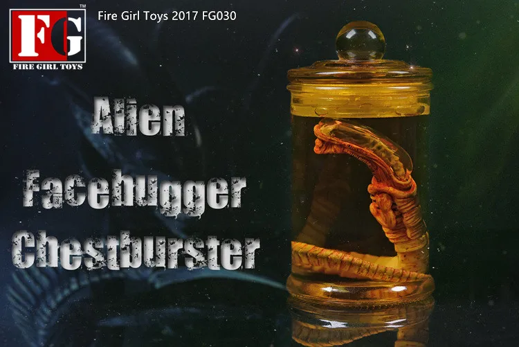 1/6 Scapredator чужой Хищник Чужой личинка лицо Жук культура набор резервуаров Facehugger
