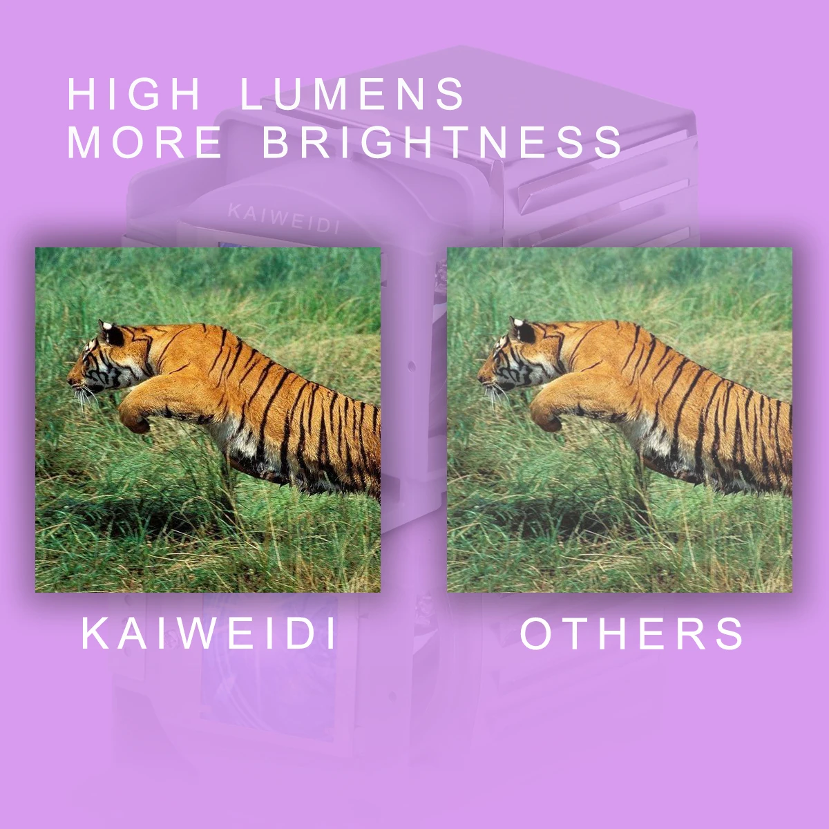 Projector Lamp V13H010L49 Replacement Bulb ELPL49 for EPSON EH-TW4400/EH-TW4500/EH-TW5000/EH-TW5500/EH-TW5800/EH-TW8500