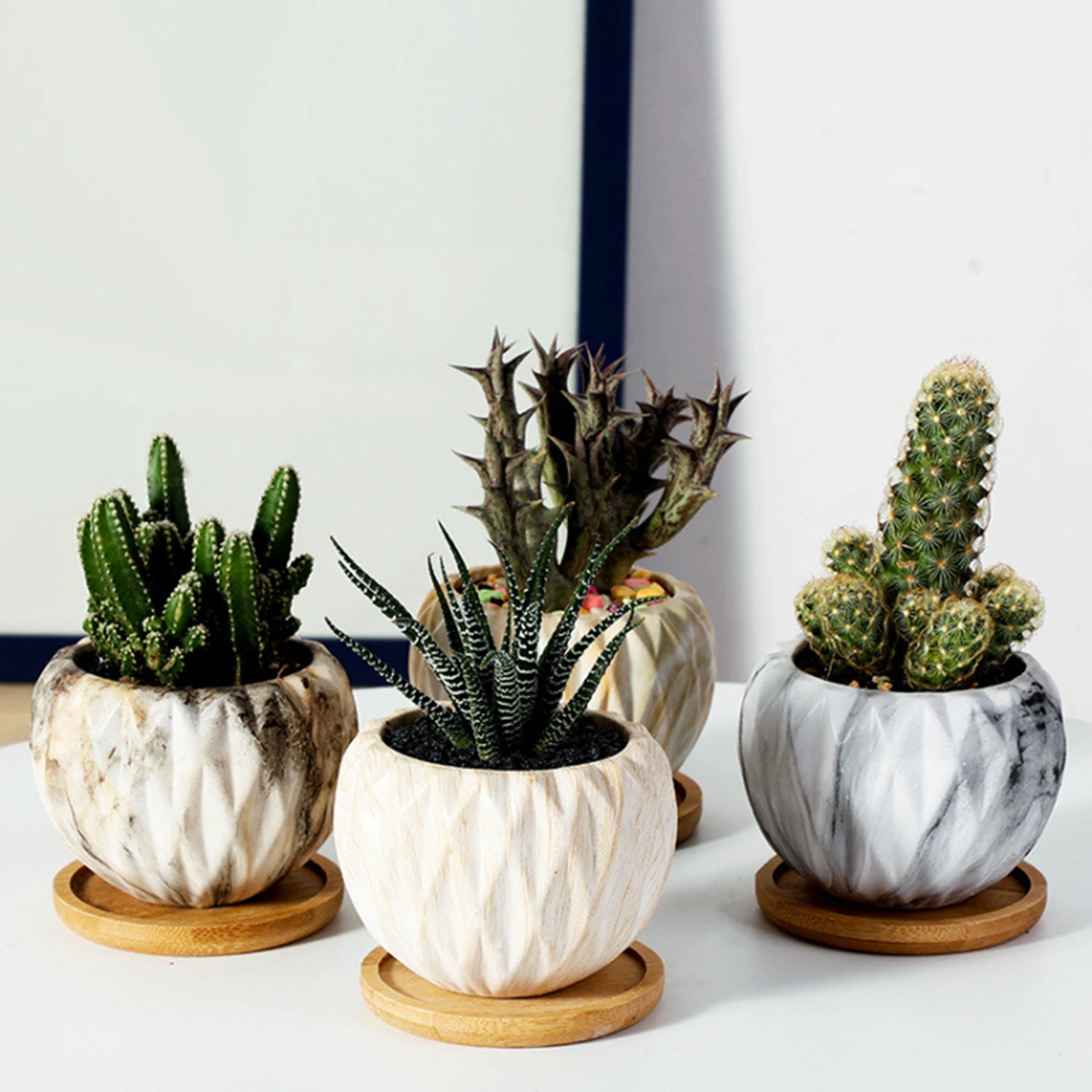 6 шт. поднос для украшения растений | Дом и сад