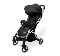 2019 new cute strollers are portable strollers that can be ridden or laid down
