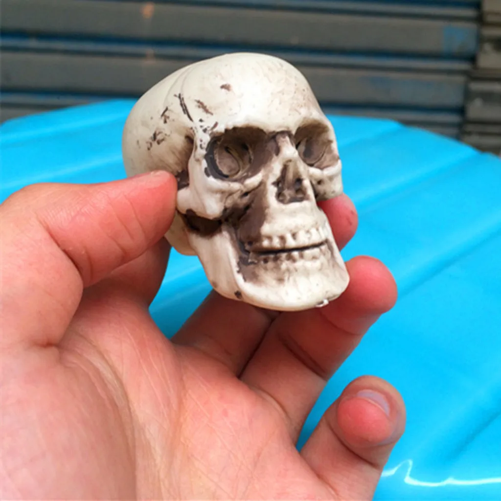 Хэллоуин скелеты Пластик реалистичные поддельные моделирование Скелет