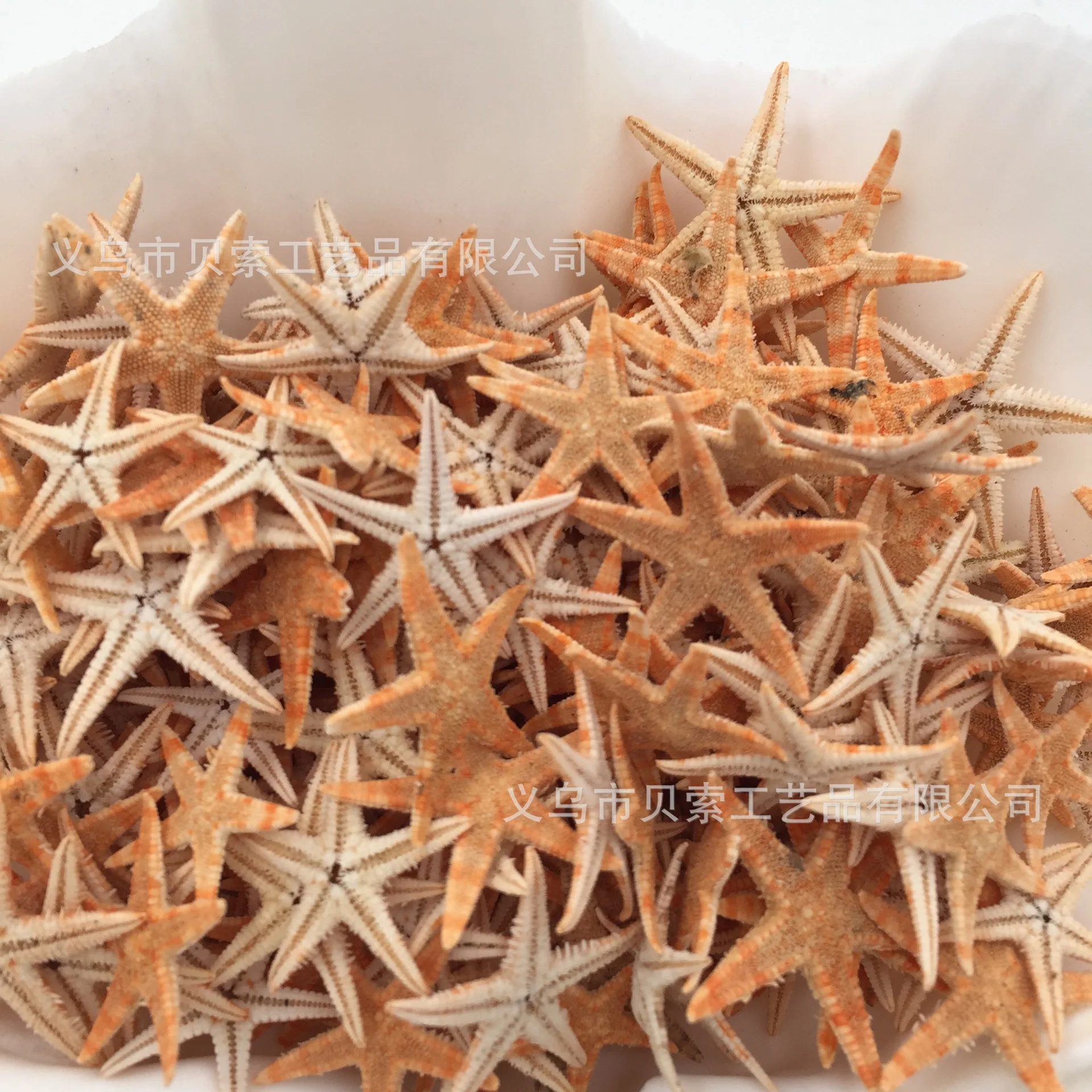 50 шт. мини украшение морской звезды сделай сам пляжный домик свадебное размер: 1 5