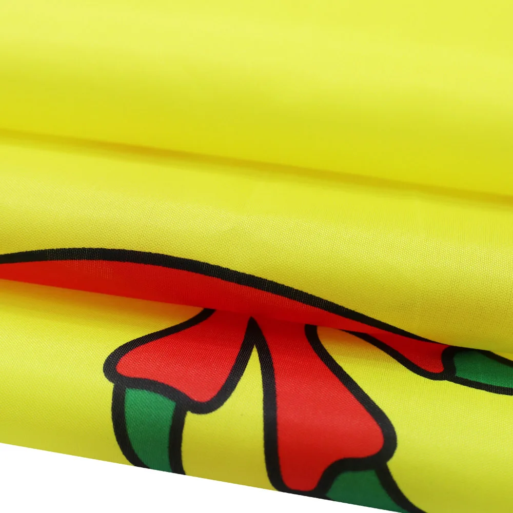 3X5 Ft Scotland Flag | Flags