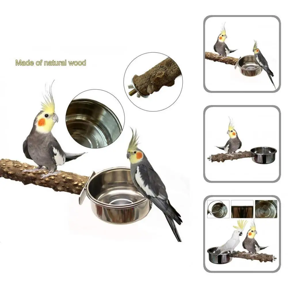 

Твердый безопасный грудной попугай, развлекательная искусственная рукоятка, прочная для кокатика