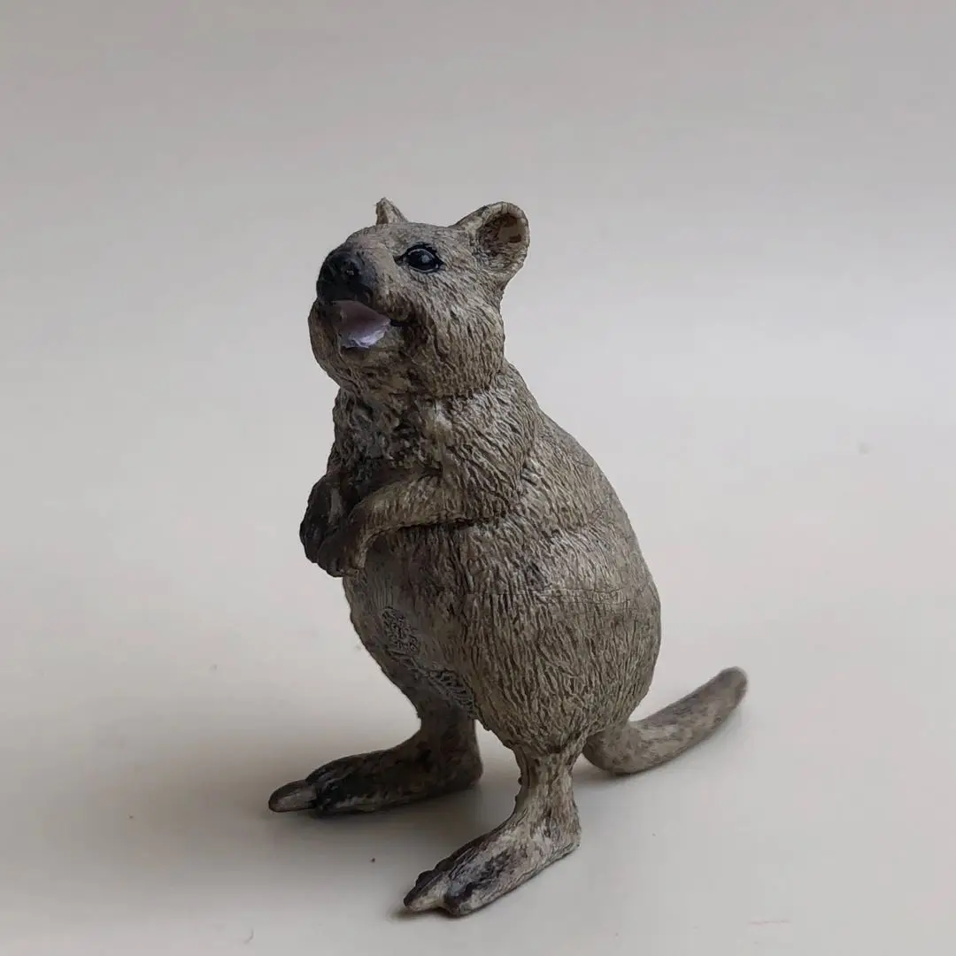 Academic-wallaby-285