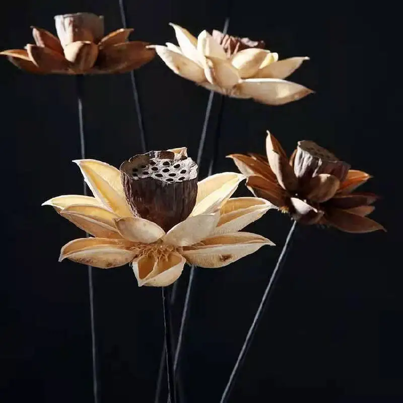 

Real Plants Lotus Natural Dried Flowers Home Room Accessories Photo Props Crafts Decoration Artificial Combination Flores Secas