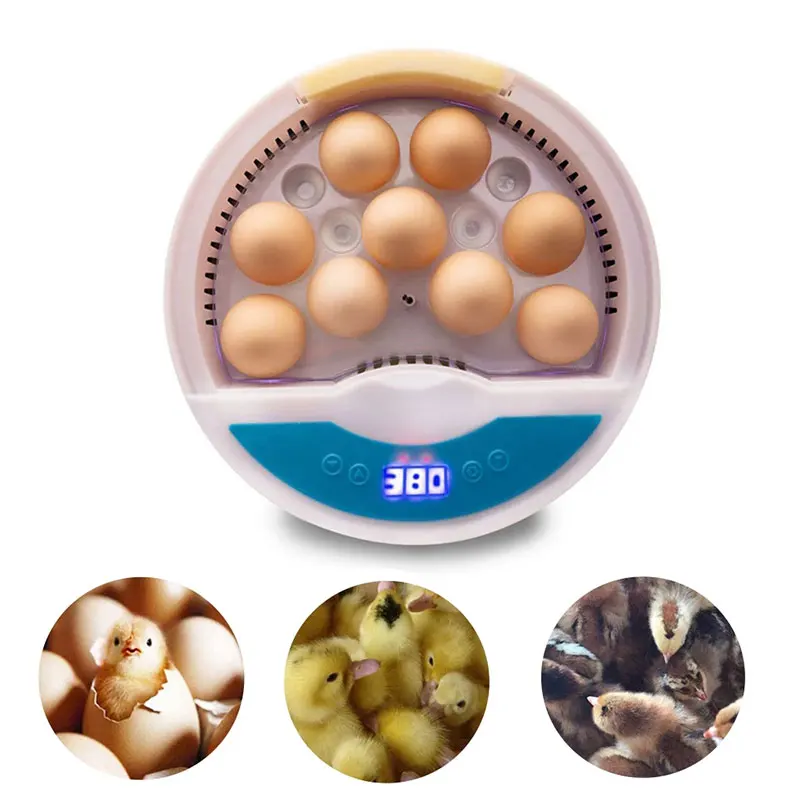 

Мини-инкубатор для 9 яиц, устройство для инкубации птицы, цифровой контроль температуры, автоматический Брудер для цыплят, уток, перепелов