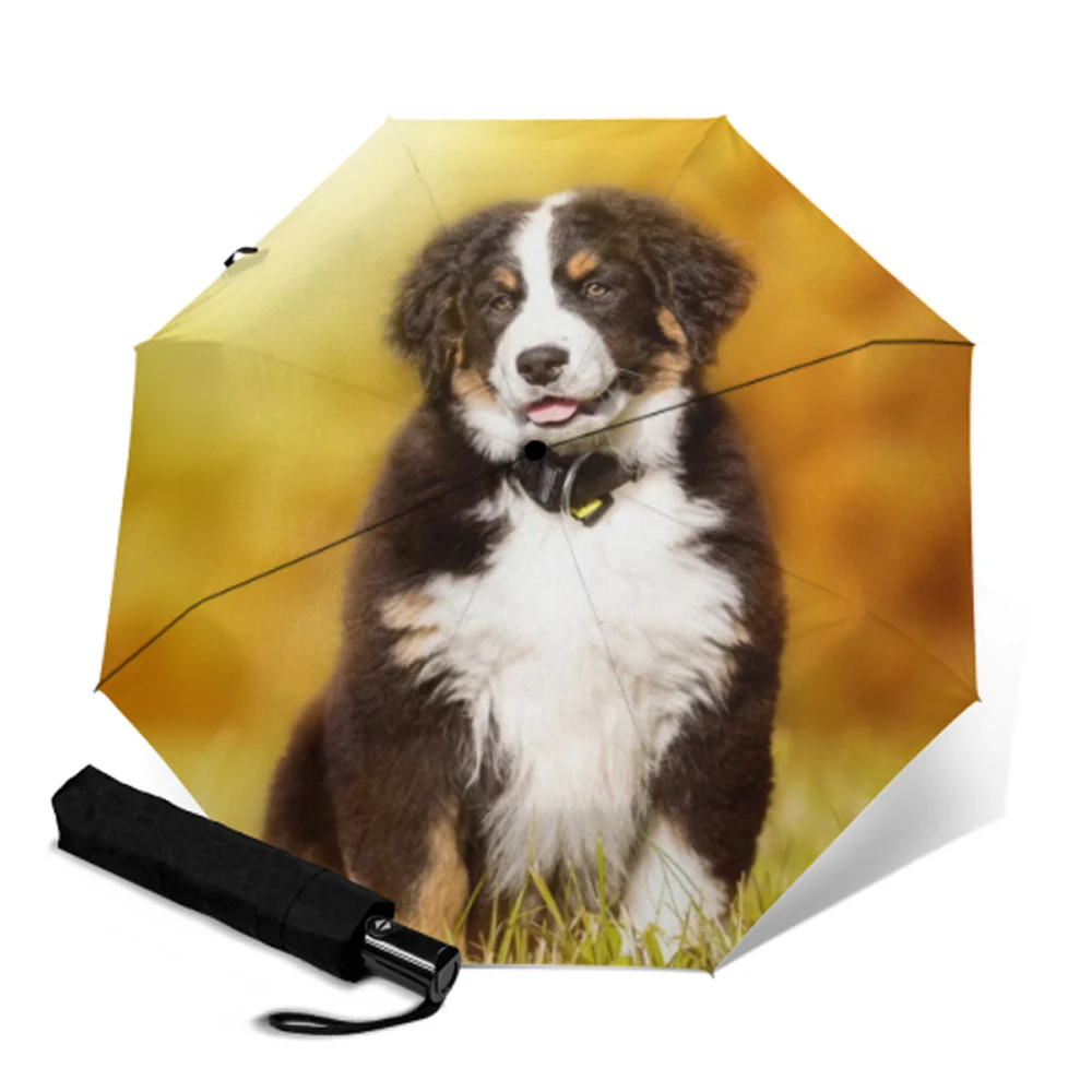 Зонт складной женский Автоматический с 8 ребрами от солнца и дождя|Зонтики| |