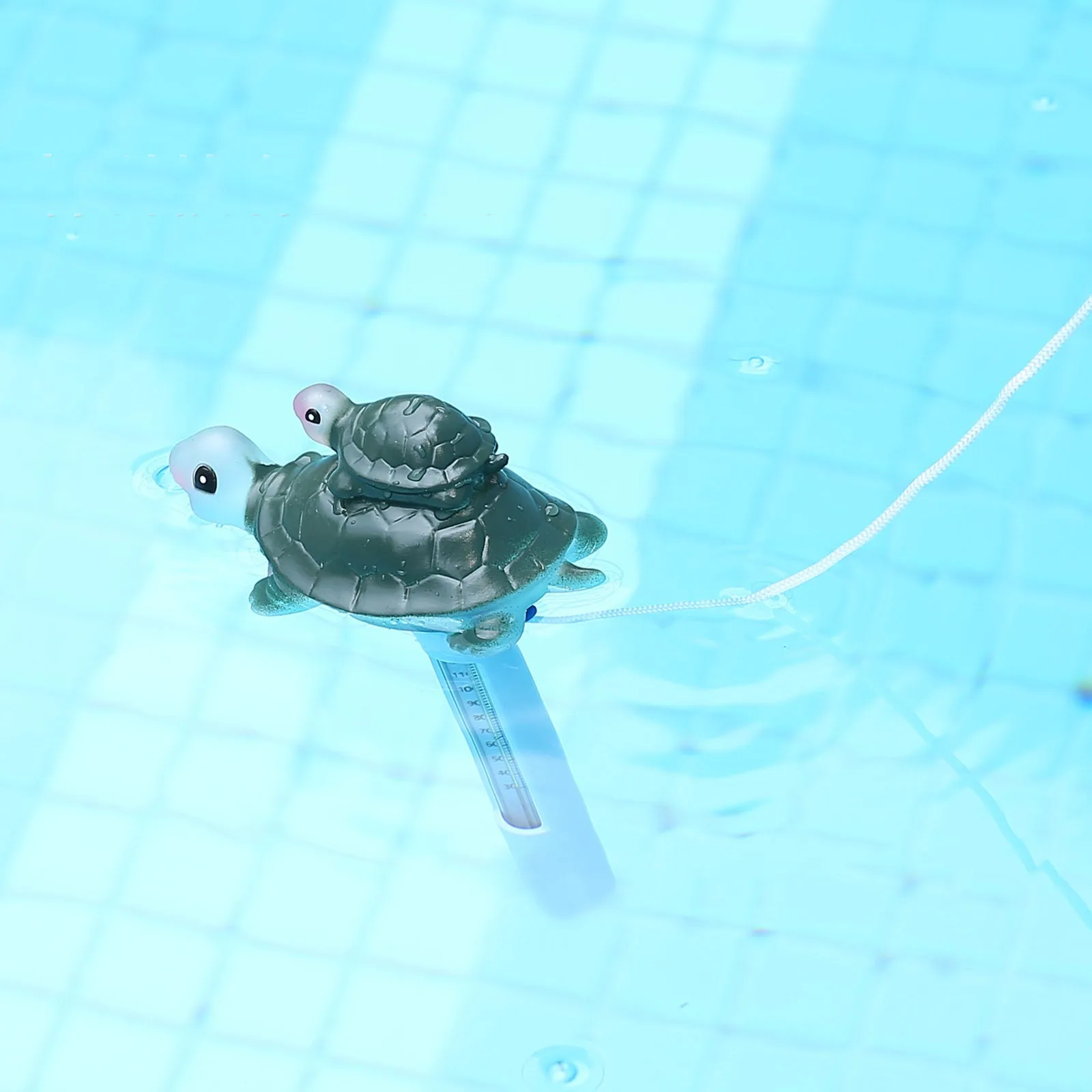 

Водонепроницаемый термометр для бассейна и черепахи