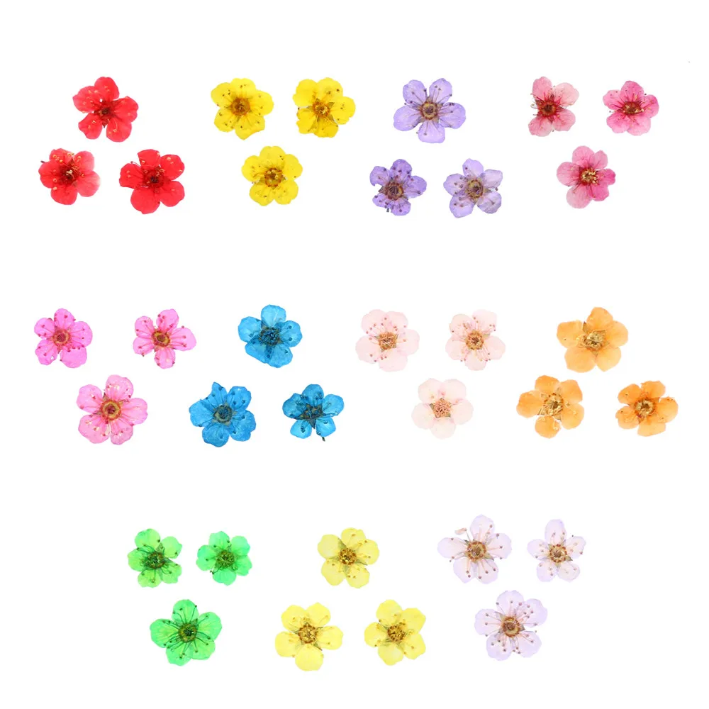 Натуральные сухие цветы набор наклейки для дизайна ногтей 3D многоцветные