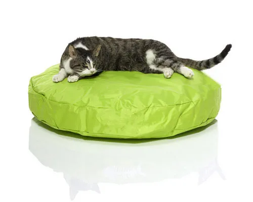 Классическая большая кровать для домашних животных Gelb Cat bean bag уличная