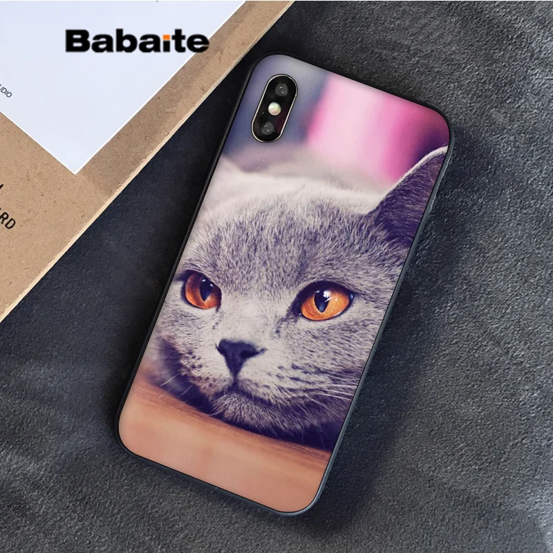 Babaite Британский короткошерстный Кот в продаже окрашенный мягкий чехол для телефона Apple iPhone 8 7 6S Plus X XS MAX 5 5S SE XR