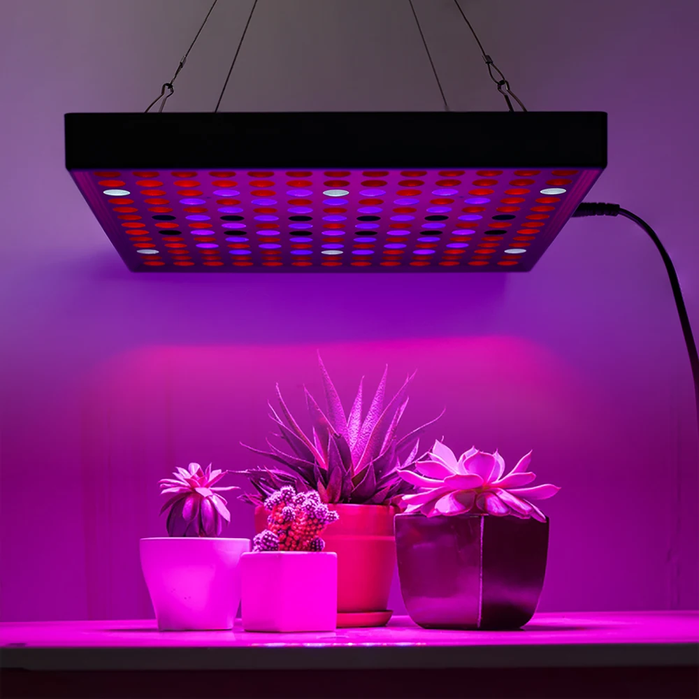 

LED Grow Light 220V 110V Full Spectrum Plant Grow Lamps EU Plug Indoor Phyto Lighting Greenhouse Seedling Growth Hydroponic Lamp