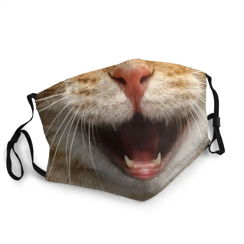 

Washable Orange Tabby Cat Mask for Face Kawaii Animal Anti Dust Protection Mask Respirator Muffle