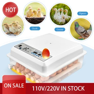 36 яиц инкубатор автоматический инкубатор машина цифровой дисплей контроль влажности птицы Брудер термостат разведение шляпа куриные яйца