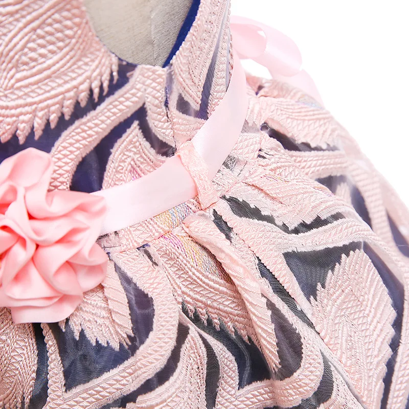 

Princess Baby Girls Embroidered Flower Elegant Wedding Party Dresses Toddler Girls Christmas Vestidos Formal Dress Kids Clothing