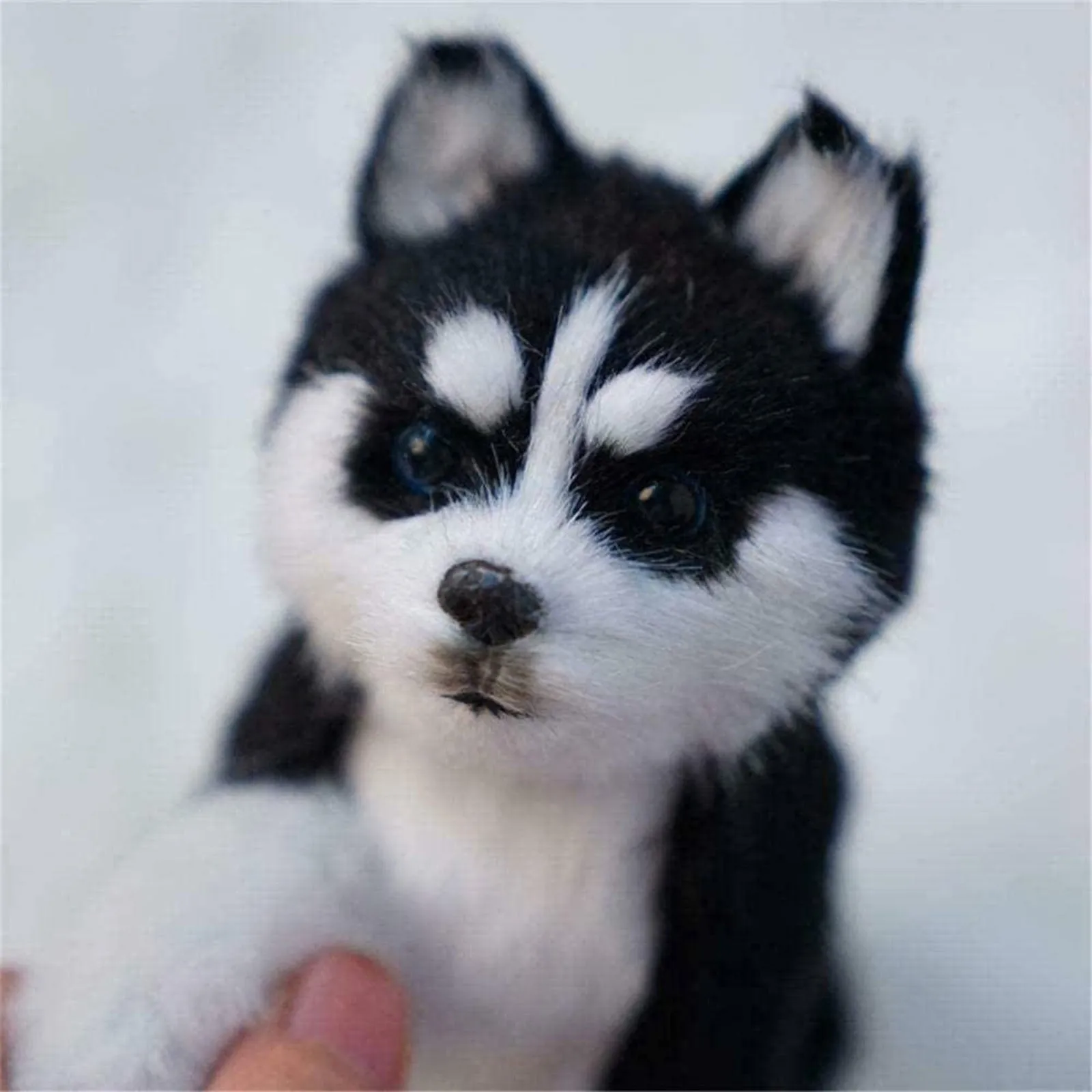 

Husky dog toy plush toy simulated animal model children gift kawaii husky dog cat plush toy L4