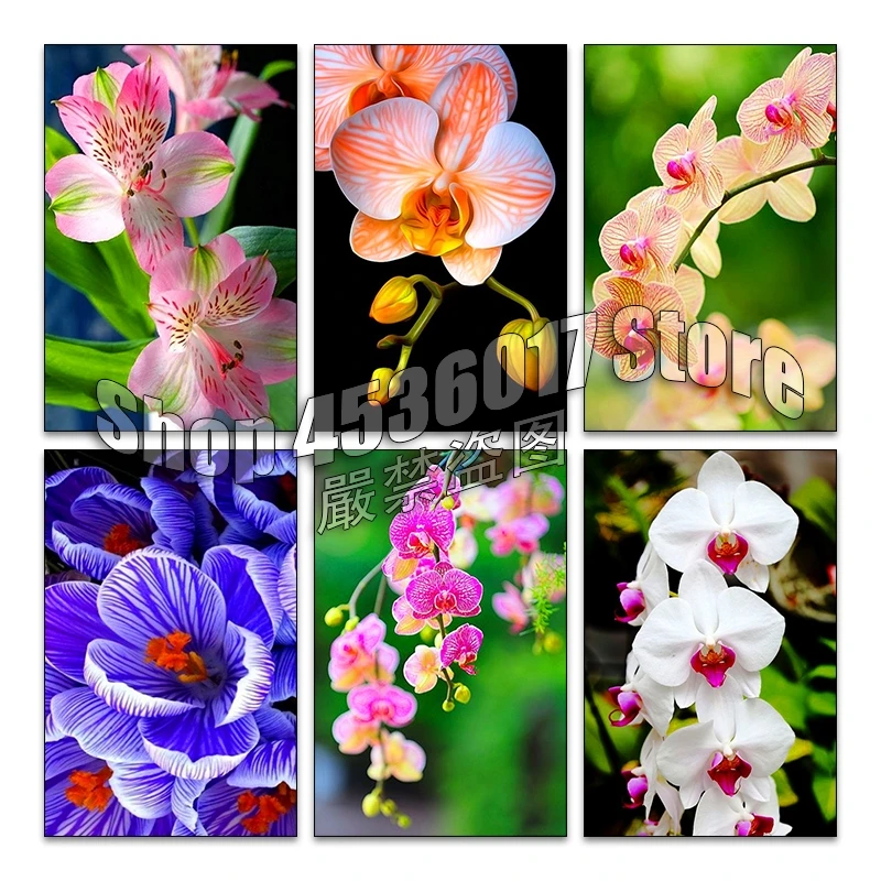 

Алмазная картина "сделай сам" с изображением цветов, вышивка крестиком, мозаика фаленопсис, подарки, картина для рукоделия