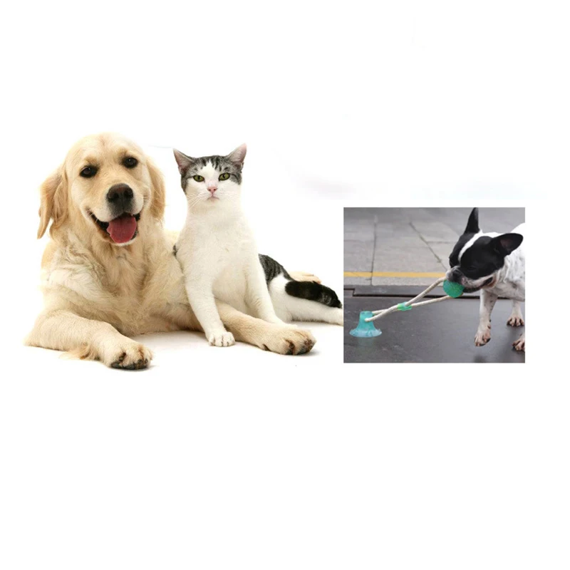 Игрушки для домашних животных с присоской игрушка собак мячом из