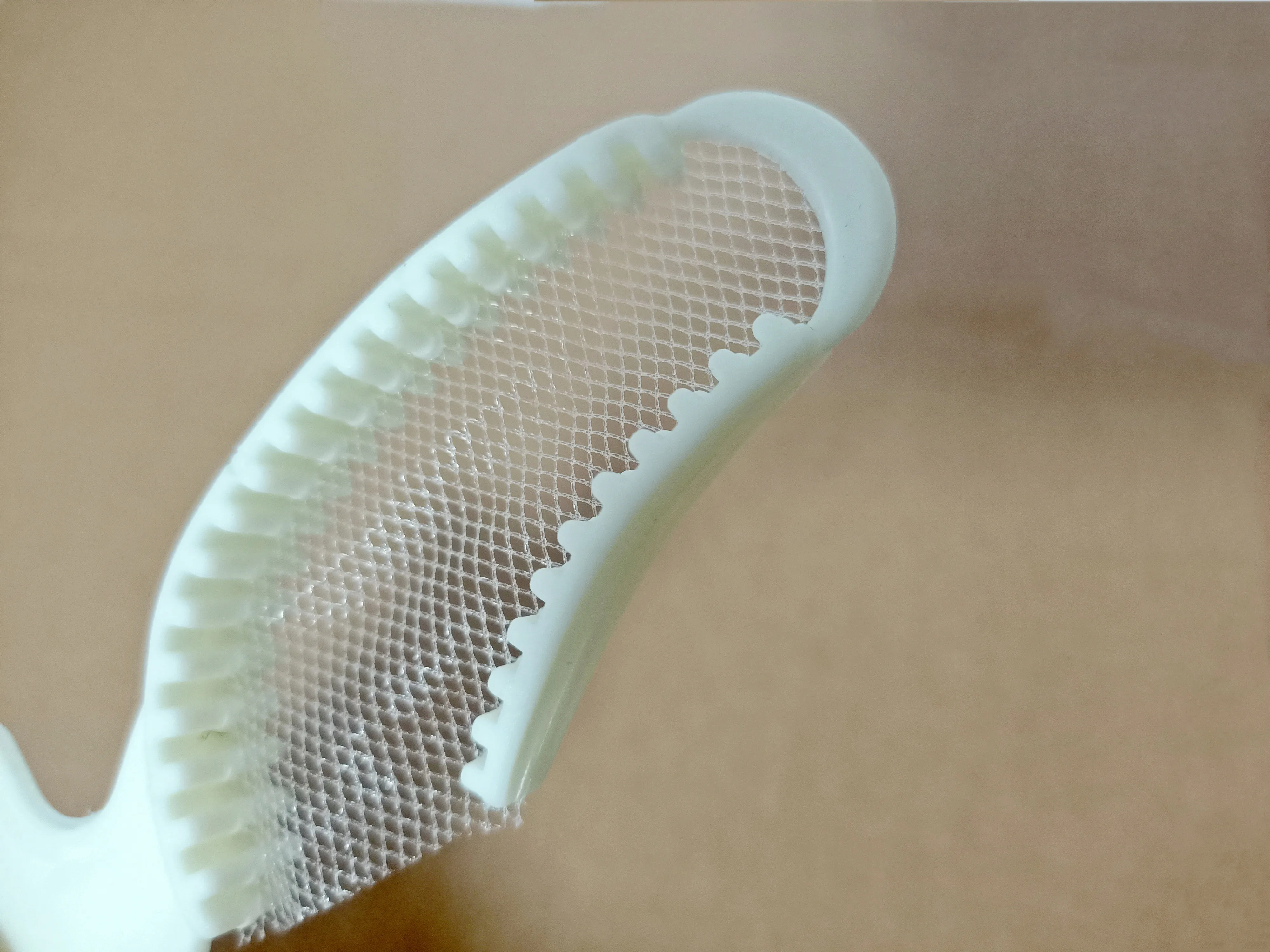 Dental Disposable Impression Net Trays Half Tryas Large Posterior | Teaching Model