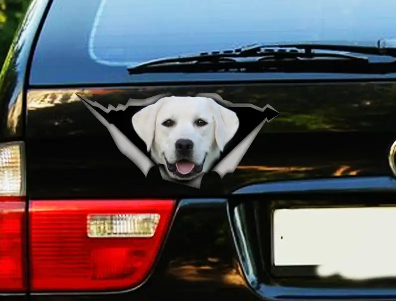 

2021 DECAL | White Labrador Decal, Lab Decal, white lab car decal