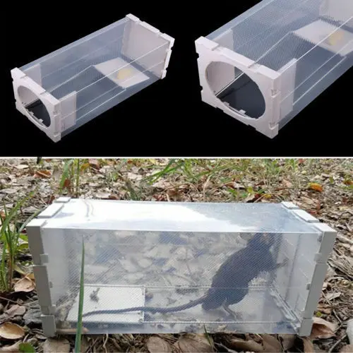 

âœ…Professional Mouse Rat Rodent Trap Box Station Mouse Mice Catcher Trap - Rat Mice Mouse - No Poison Bait Inc.