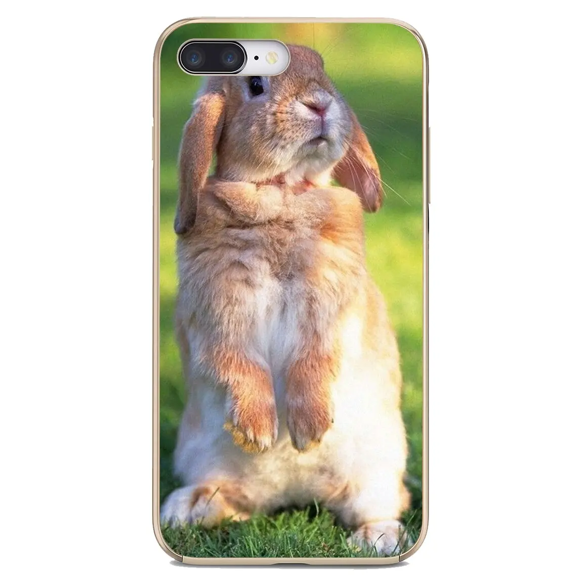 Rabbit Soft Case Covers For BQ Aquaris C U2 U V X2 X Lite Pro Plus M E4.5 X5 E5 4G 2017 S 5059 6040L | Мобильные телефоны и