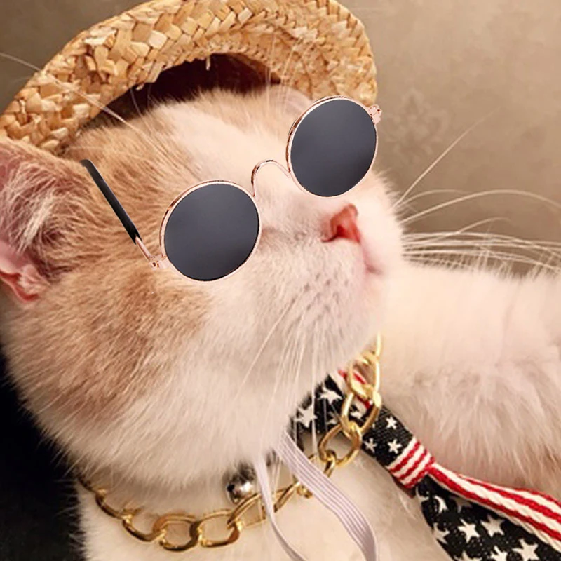 

2/3/4 PCS Cool Pet Dog Cat Costume Fashion Sunglasses Chain Collar Straw Hat Tie Set Pet Supplies