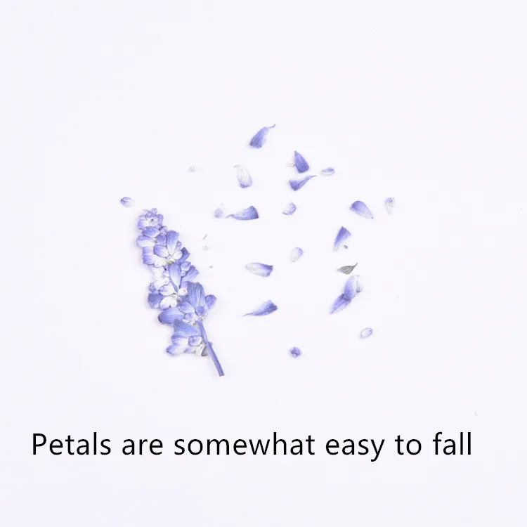 16 шт./лот натуральные прессованные цветы с стволом Вечные настоящие розы для