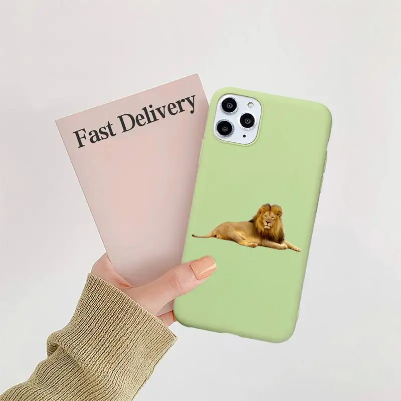 

King of the forest lion horror animal Phone Case Candy Color for iPhone 6 7 8 11 12 s mini pro X XS XR MAX Plus