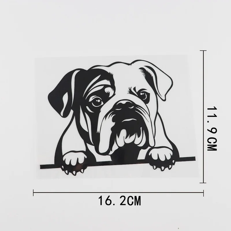 

Black/Silver Fun English Bulldog Peeking Dog Vinyl Car Sticker Car Styling Decoratio 16.2CMX11.9CM