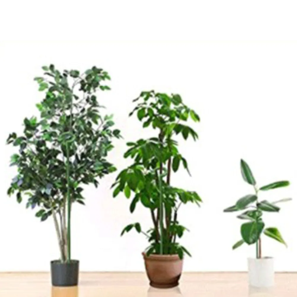 

10PC Trellis Plant Support Flower Stand Succulent Phalaenopsis Rod Anti-lodging Leaf Bracket Garden Supplies