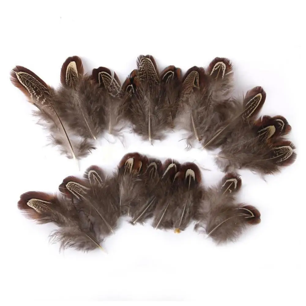 

High Quality Natural Pheasant Feathers Diy Handicraft Accessories Natural Jewelry Feather K5V9 Pheasant J3V5