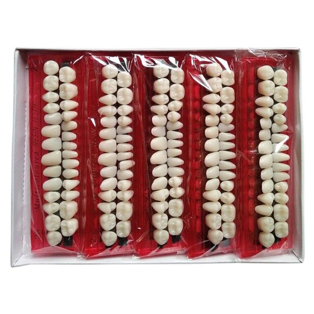 Набор зубных протезов 28 шт./компл. 10 наборов |