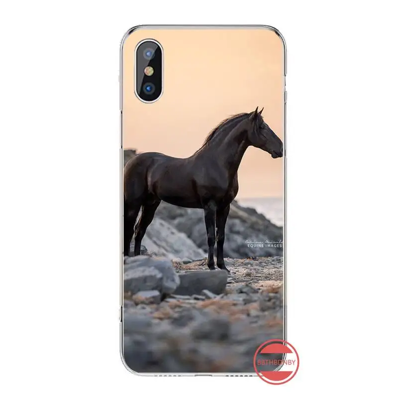 

horse Phone Cases For iphone 12 5 5s 5c se 6 6s 7 8 plus x xs xr 11 pro max