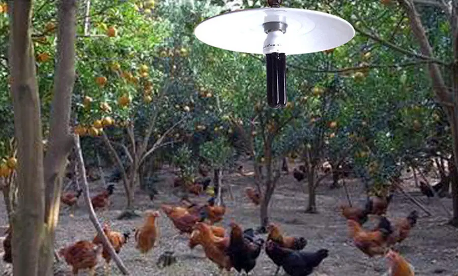 20 Вт Ультрафиолетовый черный светильник с низким энергопотреблением CFL лампа E27